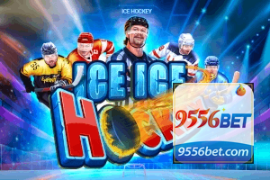 9552BET feedback — categorias de sugestão e melhoria no app