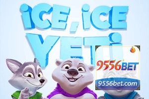 9552BET feedback — formulário de envio no aplicativo oficial