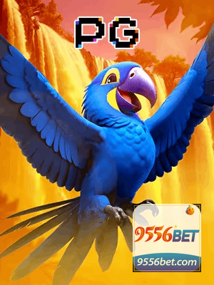 9552BET bônus — cashback 15 por cento e níveis VIP