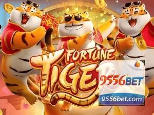 Guia install APK 9552BET BR